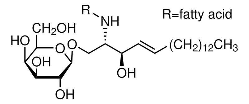 Sigma-Aldrich Galactocerebrosides from bovine brain,≥97%(TLC法)