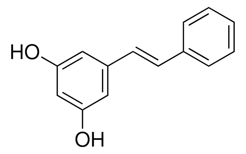 Sigma-Aldrich 赤松素，≥97.0%（HPLC）