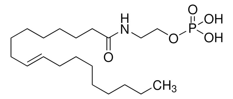 Sigma-Aldrich NAEPA,≥98(TLC),固体