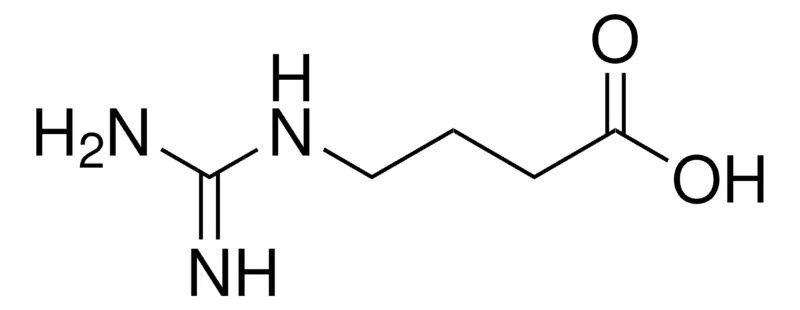 Sigma-Aldrich 4-胍基丁酸,≥98%,用于肽合成
