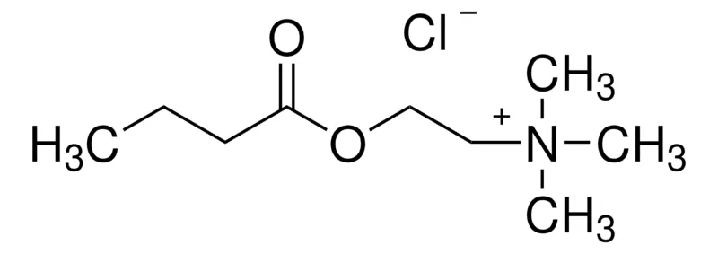 Sigma-Aldrich 氯化丁酰胆碱，≥98%