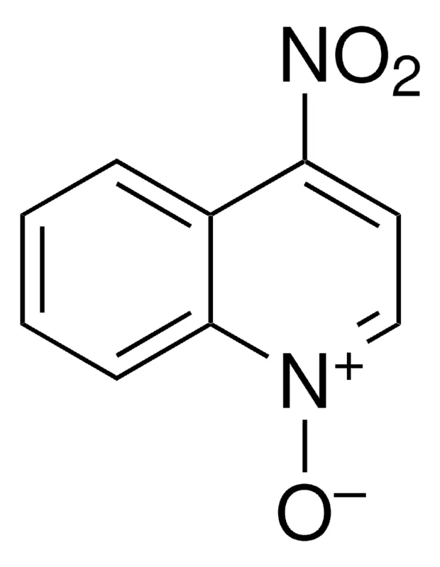 Sigma-Aldrich 4-硝基喹啉 N -氧化物，≥98%