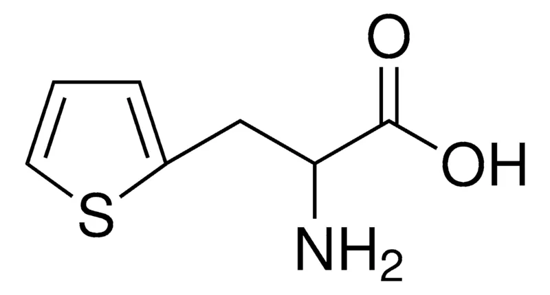 Sigma-Aldrich 3-(2-噻吩基)-DL-丙氨酸，≥98%