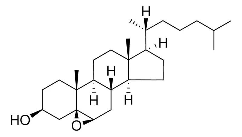 Sigma-Aldrich Cholesterol 5β,6β-epoxide，≥98%