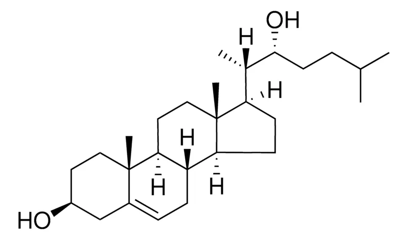 Sigma-Aldrich 22 (R)-羟基胆固醇,≥98%