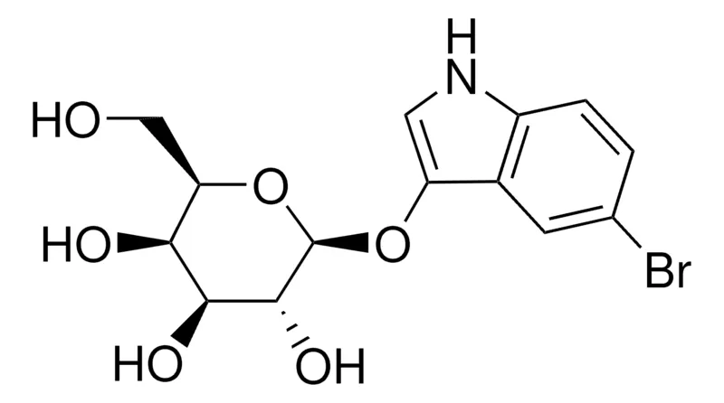 Sigma-Aldrich 5-溴-3-吲哚基β-D-吡喃半乳糖苷,≥98%,粉末