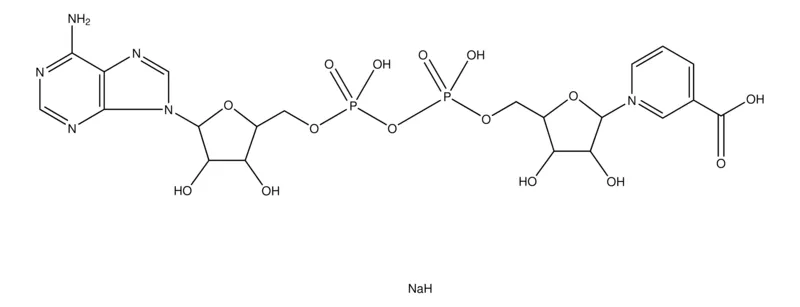 Sigma-Aldrich 烟酸腺嘌呤二核苷酸 钠盐,≥98%