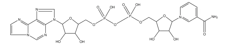 Sigma-Aldrich 烟酰胺1,N6-乙烯基腺嘌呤二核苷酸,≥98%