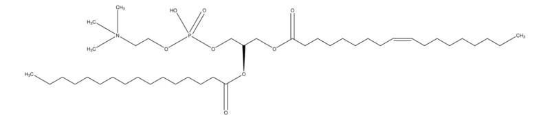 Sigma-Aldrich 1-油酰-2-棕榈酰-sn-甘油-3-磷酸胆碱，≥98%（GC），≥99%（TLC）