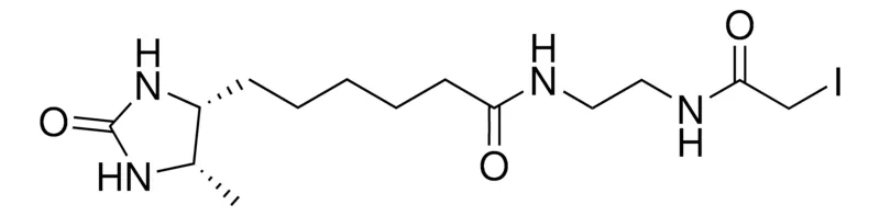 Sigma-Aldrich Desthiobiotin-iodoacetamide,≥98%(HPLC),粉末,泛半胱氨酸特征标记