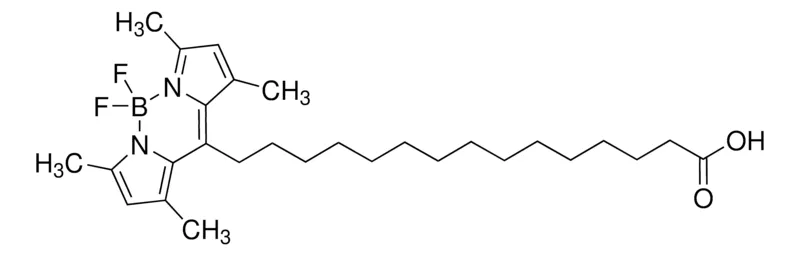 Sigma-Aldrich BODIPY-FL-C16,≥98%(HPLC)