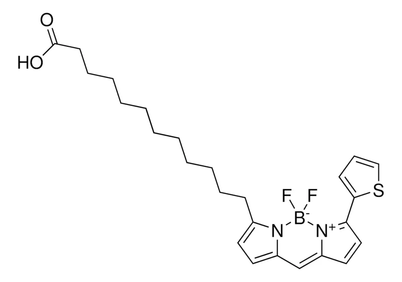 Sigma-Aldrich BODIPY 558/568 C12, Red，≥98%（HPLC），（粉末、薄膜或油），荧光探针