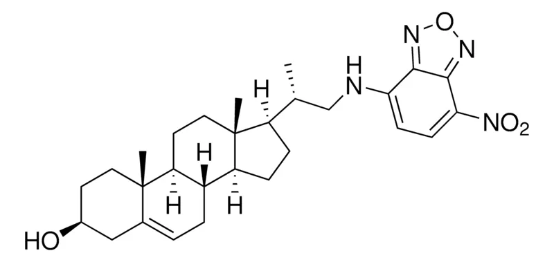 Sigma-Aldrich 22-NBD Cholesterol,≥98%(HPLC)