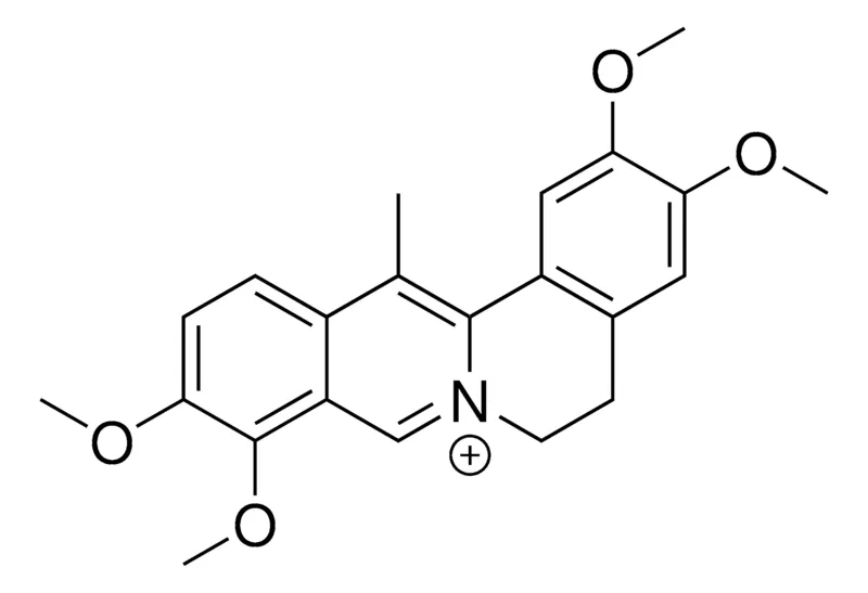 Sigma-Aldrich Dehydrocorydaline,≥98%(HPLC)