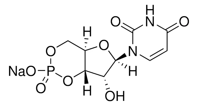 Sigma-Aldrich cUMP sodium salt，≥98%（HPLC）