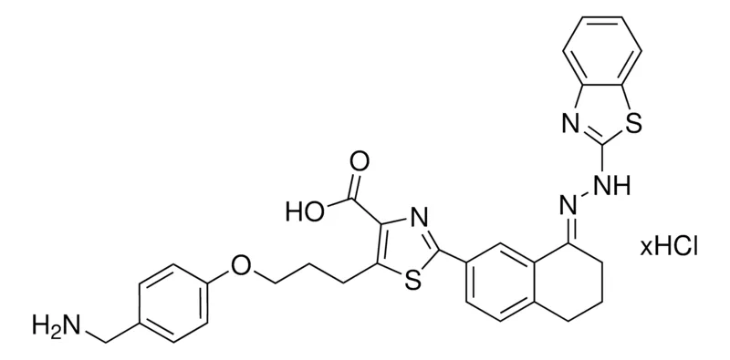 Sigma-Aldrich WEHI-539 hydrochloride，≥98%（HPLC）