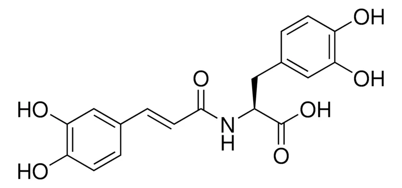 Sigma-Aldrich trans-Clovamide,≥98%(HPLC)