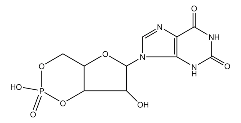 Sigma-Aldrich 黄苷 3′,5′-环单磷酸，≥98%（HPLC），固体