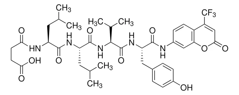 Sigma-Aldrich N-Succinyl-Leu-Leu-Val-Tyr-7-amido-4-trifluoromethylcoumarin,蛋白酶体底物,≥98%(HPLC),固体