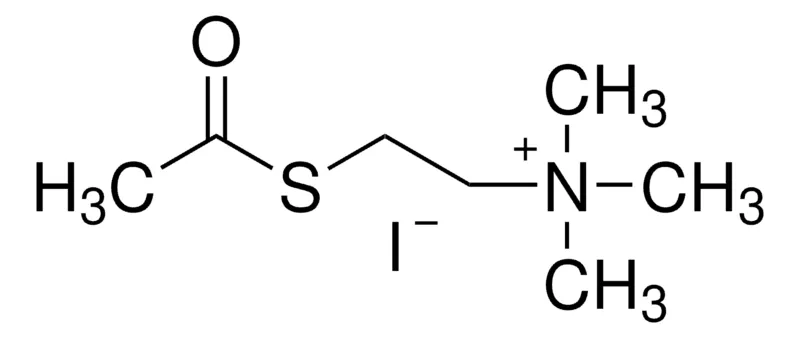 Sigma-Aldrich 碘代硫代乙酰胆碱,≥98%(TLC),粉末或晶体