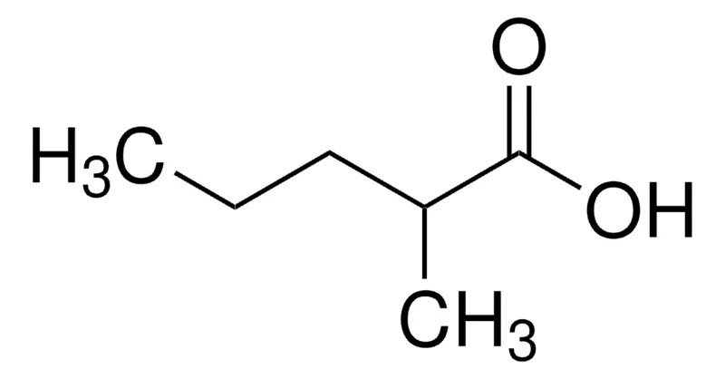 Sigma-Aldrich 2-甲基戊酸，≥98%，FCC，FG