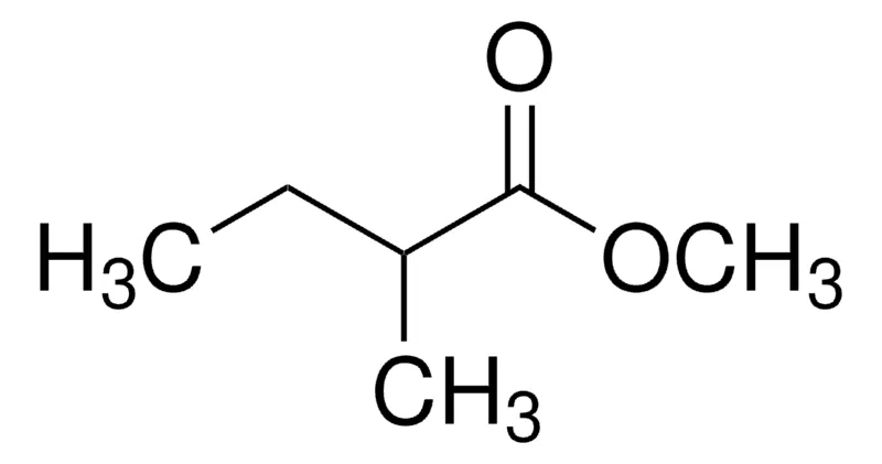 Sigma-Aldrich 2-甲基丁酸甲酯，≥98%，FCC，FG