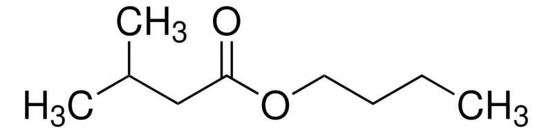 Sigma-Aldrich 异戊酸丁酯，≥98%，FCC，FG