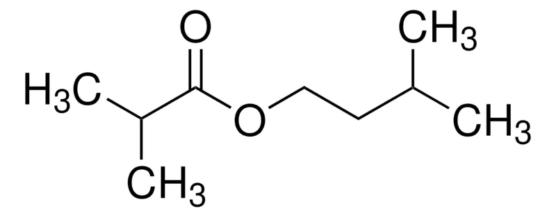 Sigma-Aldrich 异丁酸异戊酯，≥98%，FG