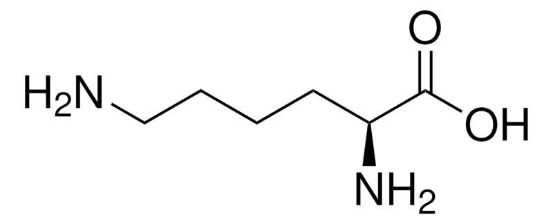 Sigma-Aldrich L -赖氨酸,≥98%,FG