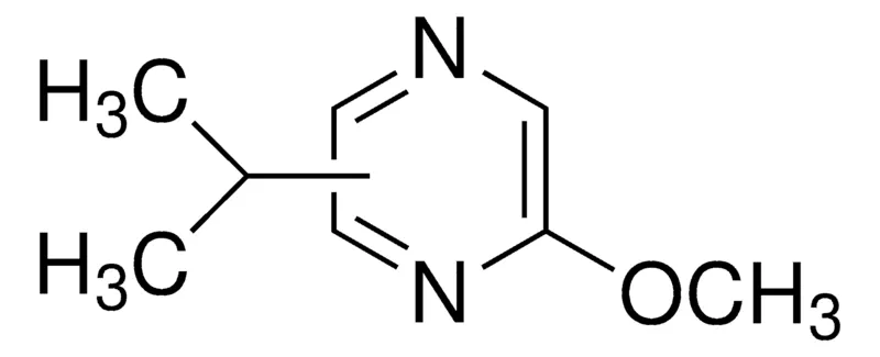 Sigma-Aldrich 2-甲氧基-3(5或6)-异丙基吡嗪，≥98%，FG