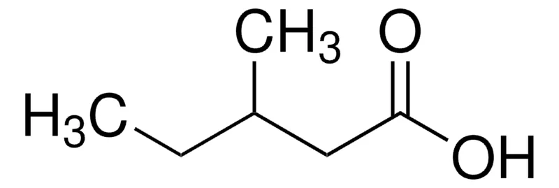 Sigma-Aldrich 3-甲基戊酸,≥98%,FG