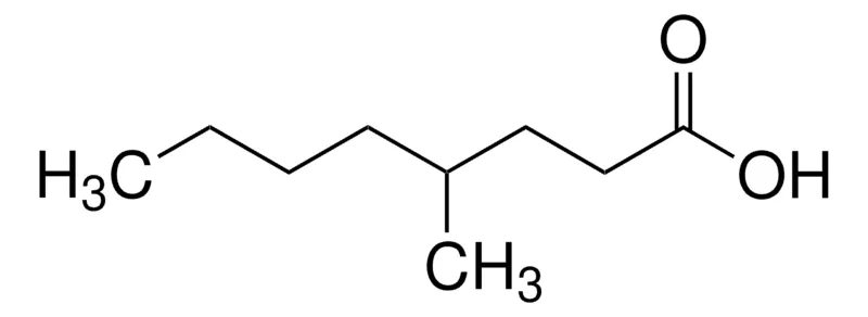 Sigma-Aldrich (±)-4-甲基辛酸,≥98%,FG