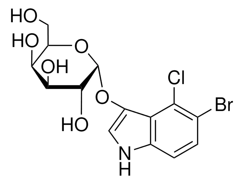 Sigma-Aldrich 5-溴-4-氯-3-吲哚基& # 945;--吡喃半乳糖苷,≥98.0%(HPLC),粉末或晶体