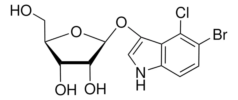 Sigma-Aldrich 5-Bromo-4-chloro-3-indolyl β-D-ribofuranoside,≥98.0%(HPLC),粉末