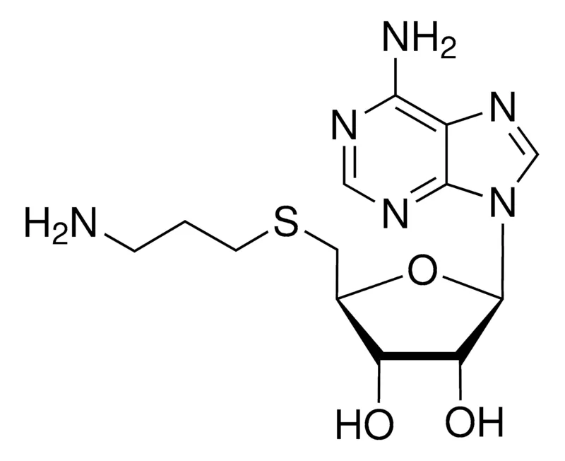 Sigma-Aldrich S-(5′-腺苷)-3-硫代丙胺,≥98.0%(HPLC),粉末