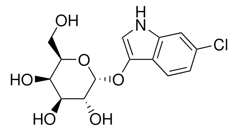 Sigma-Aldrich 6-Chloro-3-indolyl α-D-galactopyranoside，≥98.0%（HPLC），粉末