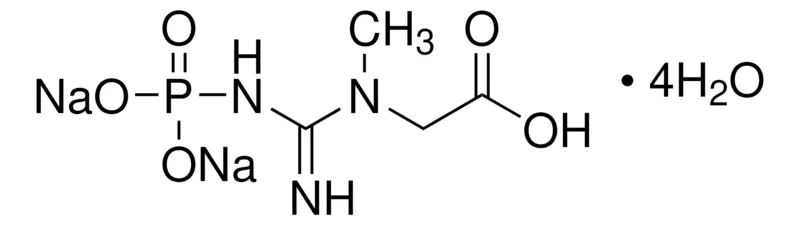Sigma-Aldrich 磷酸氢钠肌酸二钠 四水合物,≥98.0%(NT),粉末