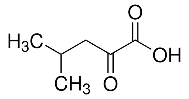 Sigma-Aldrich 4-甲基-2-氧戊酸，≥98.0%（T）
