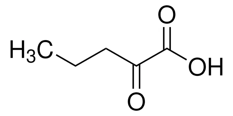 Sigma-Aldrich 2-氧代戊酸，≥98.0%（T）