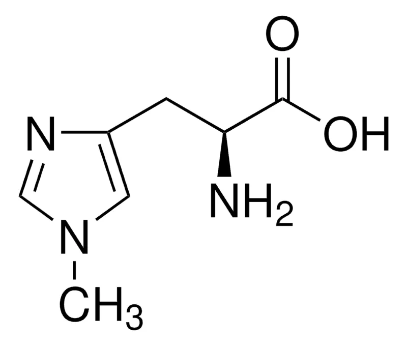 Sigma-Aldrich 1-甲基-L-组氨酸，≥98.0%（TLC），用于肽合成