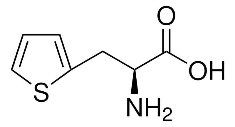Sigma-Aldrich 3-(2-噻吩基)-L-丙氨酸，≥98.0%（TLC）