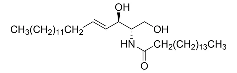 Sigma-Aldrich N-棕榈酰-D-鞘氨醇,≥98.0%(TLC)