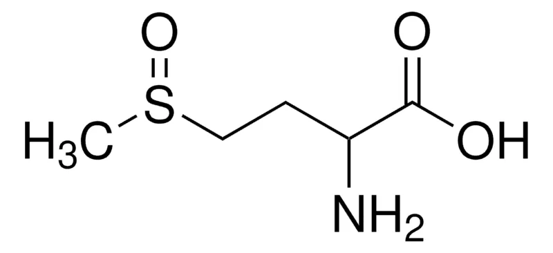 Sigma-Aldrich DL-蛋氨酸亚砜，≥98.5%（NT）