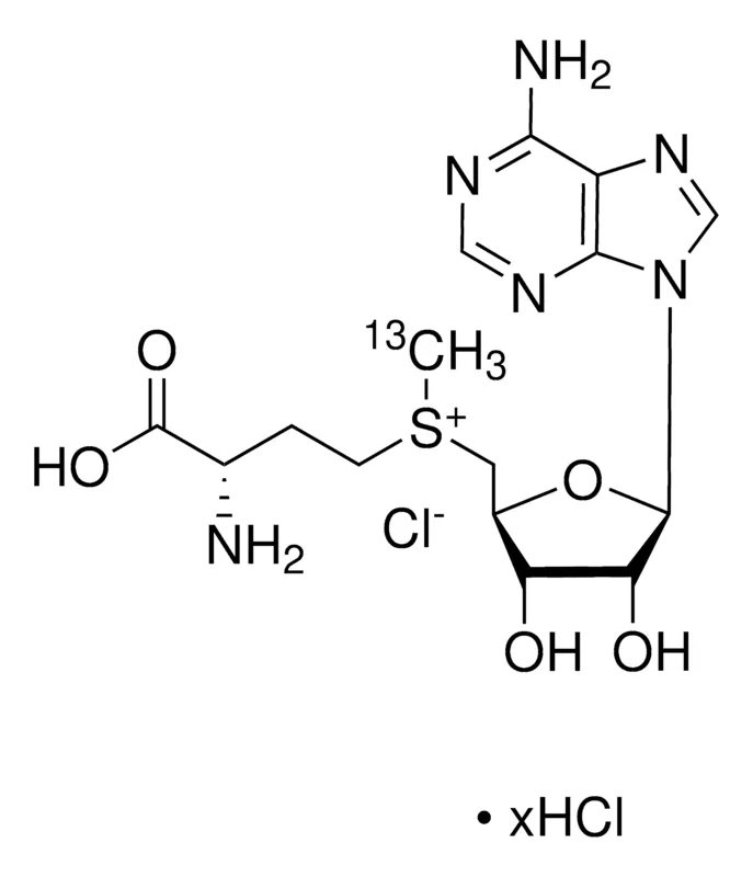 Sigma-Aldrich S-(5′-腺苷)-L-甲硫氨酸-(S-甲基-13C)氯盐,≥99原子%(13 C),≥90%(CP)