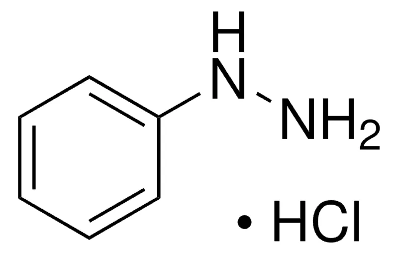 Sigma-Aldrich 苯肼 盐酸盐，≥99%