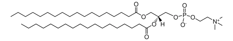 Sigma-Aldrich 1,2-二硬脂酰- 锡 -甘油基-3-磷酸胆碱,≥99%