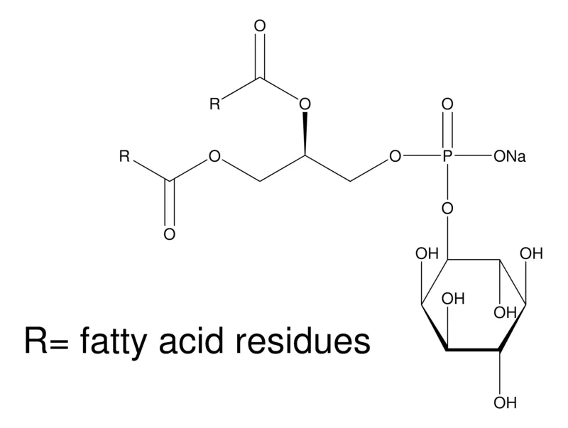 Sigma-Aldrich L-α-磷脂酰肌醇 钠盐 来源于大豆,≥99%