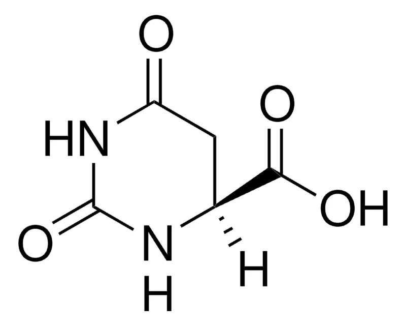 Sigma-Aldrich L-二氢乳清酸,≥99%