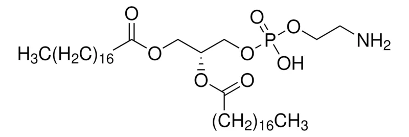 Sigma-Aldrich 1,2-二硬脂酰-sn-甘油基-3-磷酸乙醇胺，≥99%