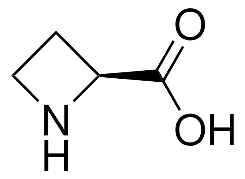 Sigma-Aldrich L -氮杂环丁烷-2-羧酸,≥99%